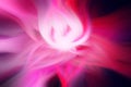Pink and White Flower Twirl, Abstract Design