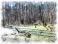 Swamp in the forest, the water is covered with green duckweed, leaves. Royalty Free Stock Photo