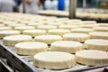 Photo of a conveyor belt filled with a variety of delicious cheeses. Industrial cheese production plant. Modern technologies. Royalty Free Stock Photo