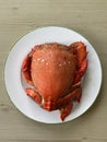 Photo of cooked curacha spanner crab or red frog crab on plate Philippine seafood