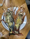 Photo of cooked lobster or banagan on plate Philippine seafood