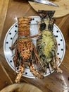 Photo of cooked lobster or banagan on plate Philippine seafood