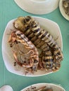 Photo of mantis shrimp sea locust prawn killer or thumb splitter on plate Philippine seafood Royalty Free Stock Photo