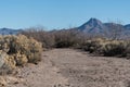 A photo of the Cookes Peak area, southwest New Mexico.