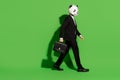 Photo of corporate furry salaryman hold suitcase walk wear panda mask black tux shoes isolated on green color background