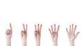 Photo Counting hands from one to five on white background. High quality beautiful photo concept