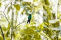 Birds of Parque Das Aves