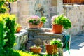 Photo of cozy part of street full of flowers in pots and plants