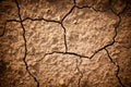 Photo cracked earth in a dry terrain