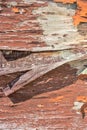 Cracked wood as background texture Royalty Free Stock Photo