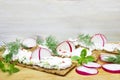 A photo of crackers, crisp rye bread toast with cottage cheese decorated with radish, cucumber, dill and basil leaves the wooden b Royalty Free Stock Photo