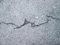 Photo of cracks on the asphalt