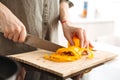 Photo cropped of caucasian woman cooking dinner with vegetables, cutting ripe fresh sweet peppers in kitchen