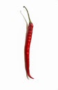 Photo of curly red chili isolated on a white background Royalty Free Stock Photo