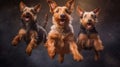 photo of 3 cute Airedale Terrier dogs jumping to catch treats flying in the air Generative AI Royalty Free Stock Photo