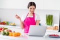 Photo of cute brunette hair young lady watch laptop cook from home wear white t-shirt apron at kitchen Royalty Free Stock Photo