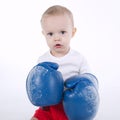 Photo of cute little boxer on white Royalty Free Stock Photo