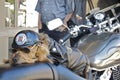 Photo of a cute young dog resting on the motorcycle Royalty Free Stock Photo