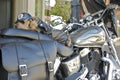 Photo of a cute young dogs resting on the motorcycle