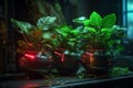 Photo of cyberpunk three pots of plants on the board generative AI