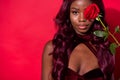 Photo of dark skin magnificent lovely young woman close eye rose copyspace elegant  on red color background Royalty Free Stock Photo