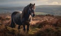 photo of Dartmoor breed of pony in its natural habitat. Generative AI