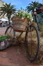 Photo of decorative bicycle with flowers