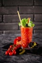 Photo of delicious tomato bloody mary cocktail Royalty Free Stock Photo