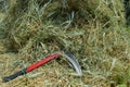 summer haymaking using a hand braid