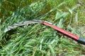 summer haymaking using a hand braid