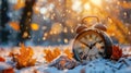 End of Daylight Savings: Falling Back to Winter Time Royalty Free Stock Photo