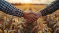 Harvesting Success: Two Farmers Shake Hands in Corn Field, Happy with Agreement Royalty Free Stock Photo