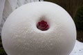 Detail of a frosted rose hip in a garden