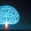 digitally created luminescent brain. A computer generated image of a glowing brain. image generated with artificial