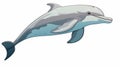 Dolphin Cartoon Illustration On White Background By Mike Mignola