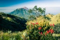 Photo of dormant stratovolcano Royalty Free Stock Photo