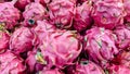 photo of dragon fruit on display for sale