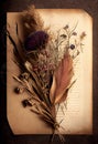 Photo dried flowers and plants over antique vintage card. Generate Ai