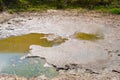 Photo of a Dried-up pond with green grass around the edges. Climate change, ecological catastrophe of the Earth, death of plants a Royalty Free Stock Photo