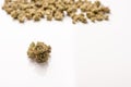Dry marijuana buds, cannabis dried flowers, medical marijuana, laying on the white table