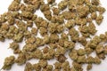 Dry marijuana buds, cannabis dried flowers, medical marijuana, laying on the white table