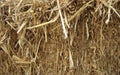 Closeup of Dry straw Royalty Free Stock Photo