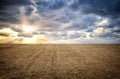 photo of dry wheat straw field and sunset sky horizon line Royalty Free Stock Photo