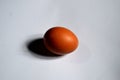 Photo of an egg with a white background