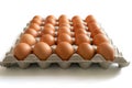 Eggs in the egg tray Royalty Free Stock Photo
