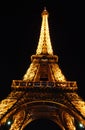 Eiffel Tower with evening illumination. Paris.
