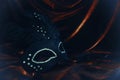 Photo of elegant and delicate black venetian mask over dark velvet and silk background. Royalty Free Stock Photo