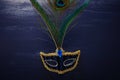 Photo of elegant and delicate blue Venetian mask with beautiful peacock feathers over dark wooden background Royalty Free Stock Photo