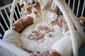 photo of an empty baby bassinet in the room Royalty Free Stock Photo