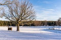 Photo of an Empty Park on Sunny Winter Day Royalty Free Stock Photo